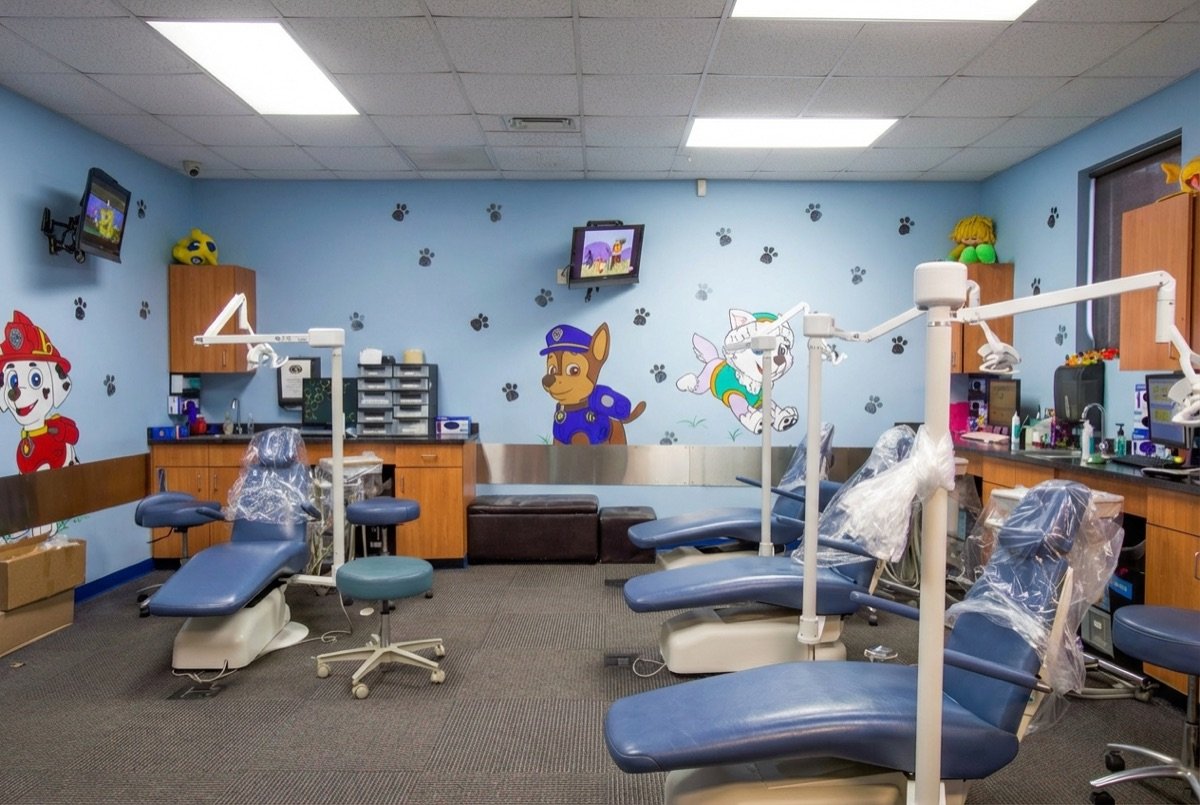Monroe treatment bay with Paw Patrol murals